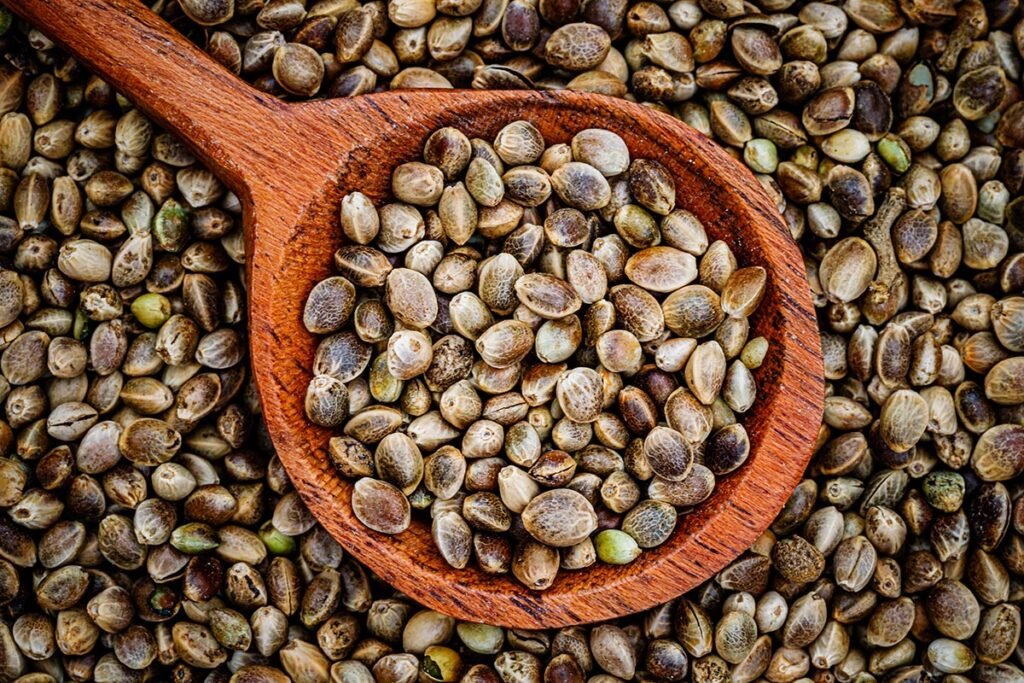 Graines de chanvre Nutri Chanvre